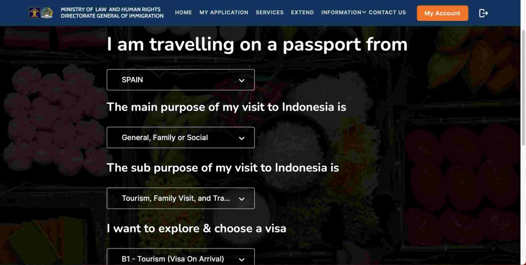Pedir visa on arrival (VOA) para Indonesia online. Paso 1