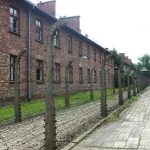 Cómo ir de Cracovia a Auschwitz
