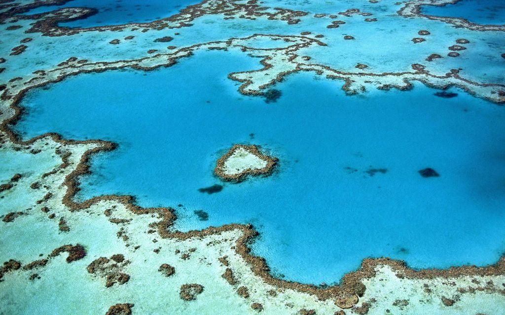 Barrera de coral de Australia