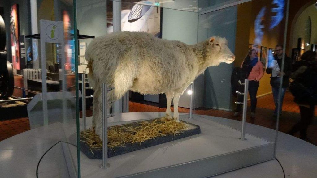 Oveja Dolly en Edimburgo