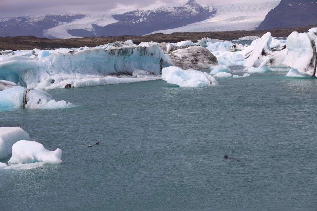 Laguna glaciar en Islandia