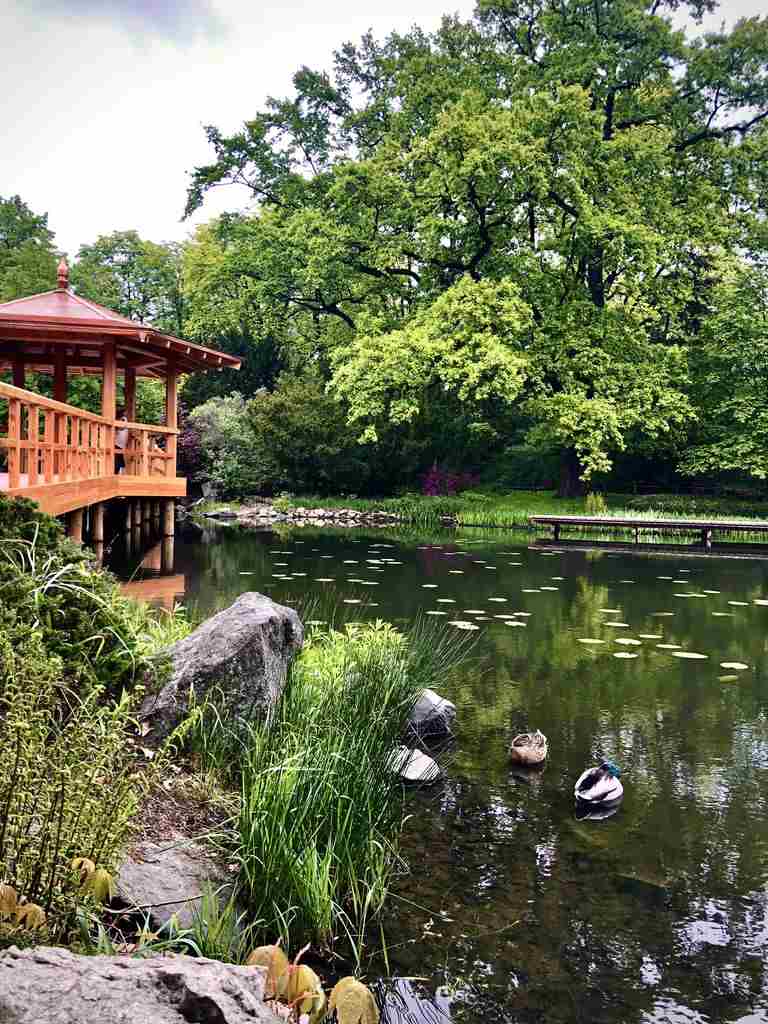 Jardín Japonés de Wroclaw
