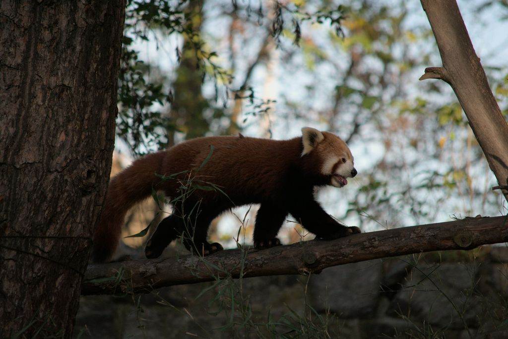 Zoo de Wroclaw