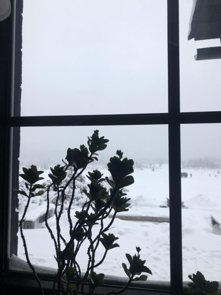 Vista desde refugio en Karkonosze