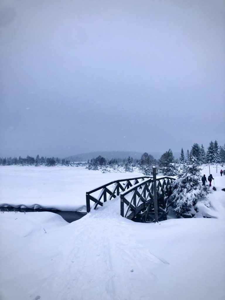 Puente en Karkonosze