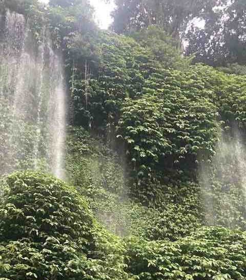 Foto de Benang Stokel