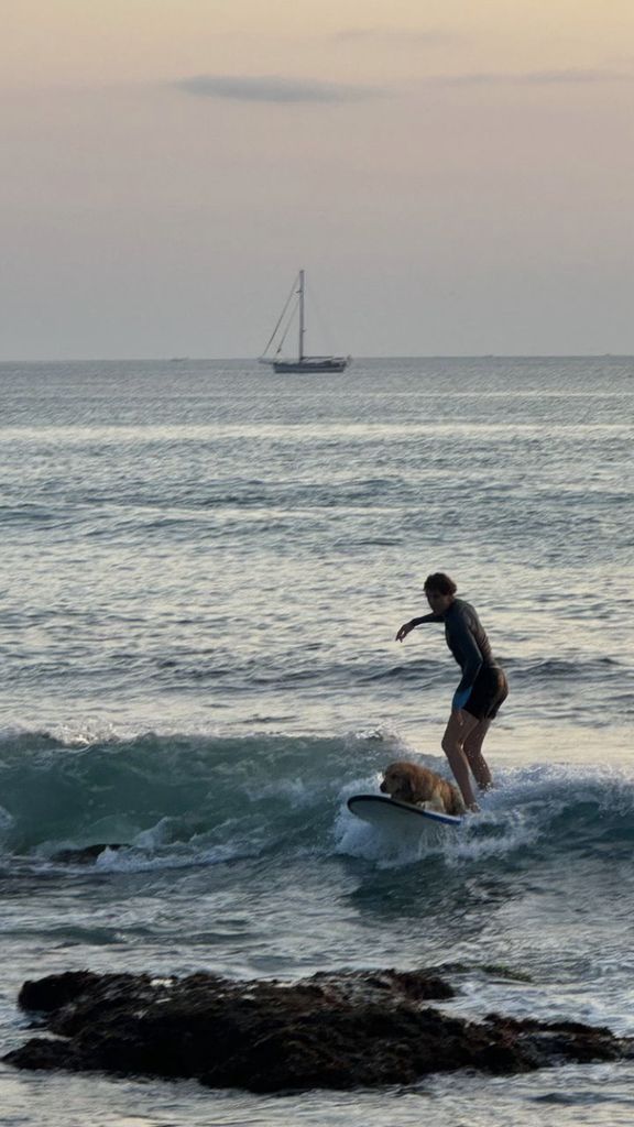 Persona surfeando con un perro en Uluwatu