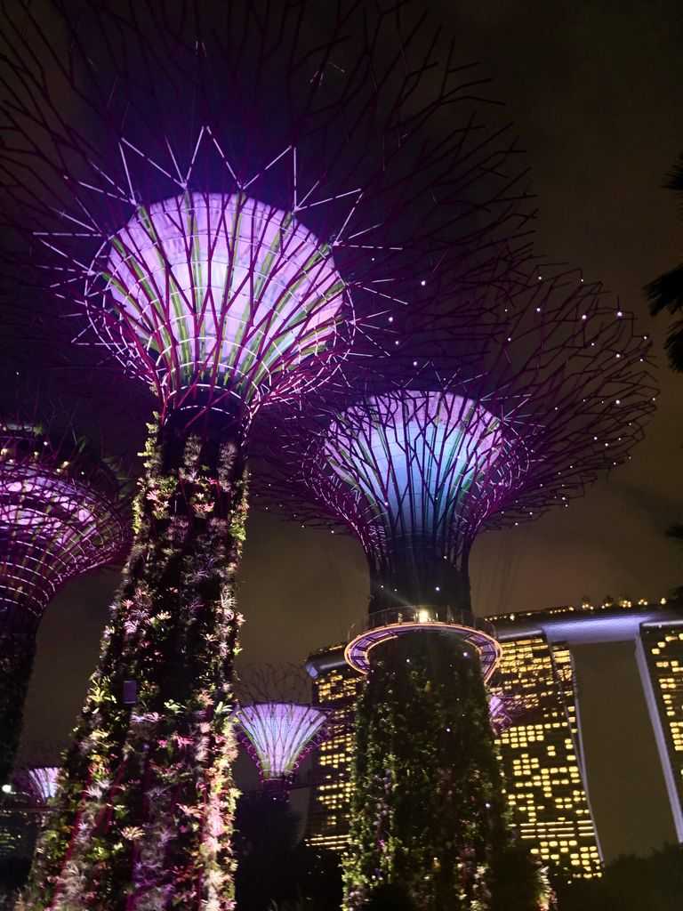 Flower Dome en Singapur