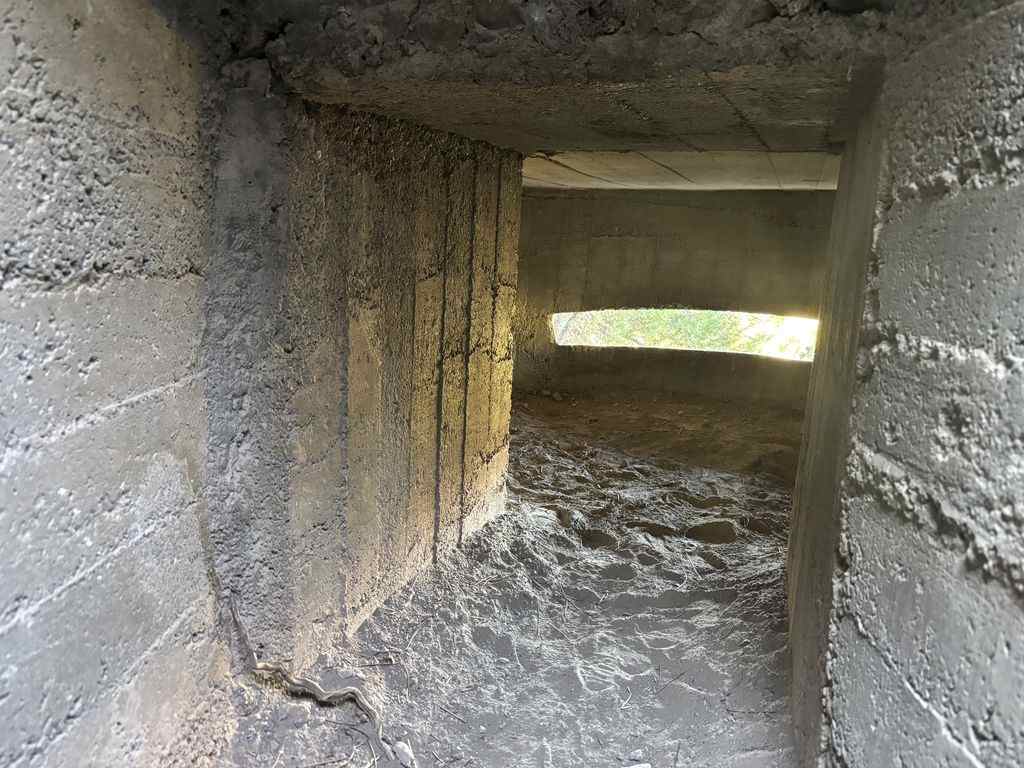 Puesto de tiro en Trinchera Sierra de la Yedra