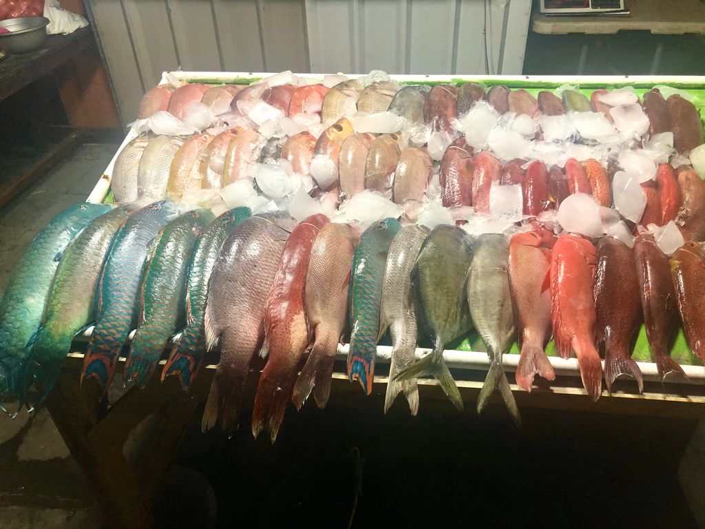 Mercado de pescado en Labuan Bajo