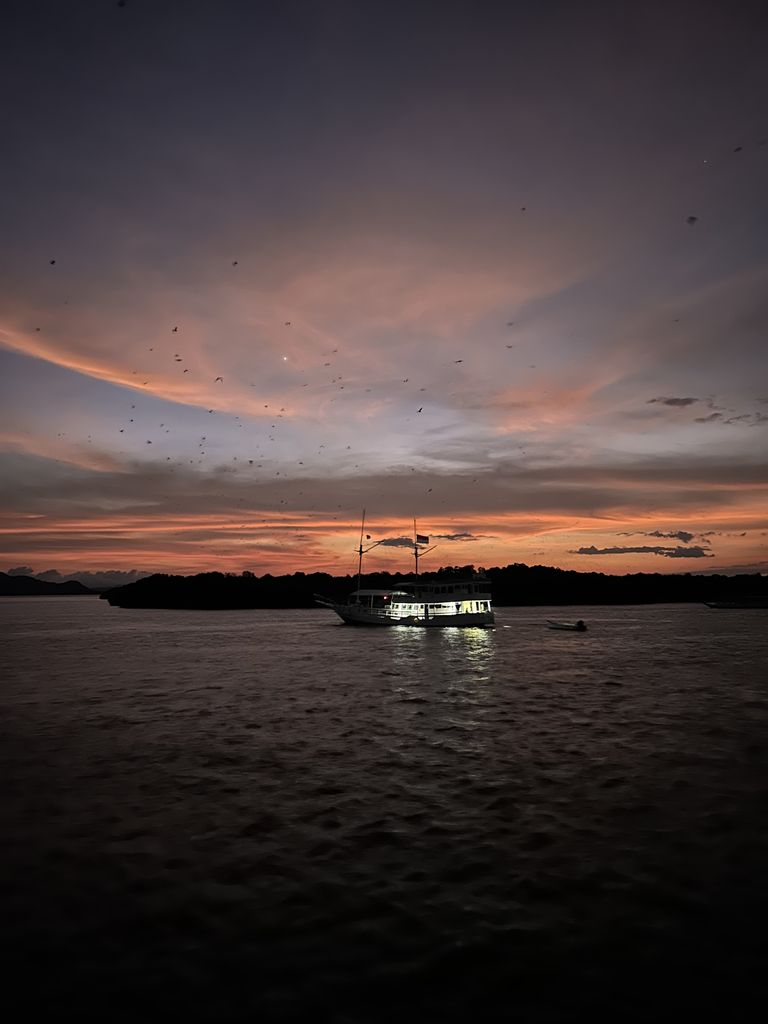 Zorros voladores en Komodo