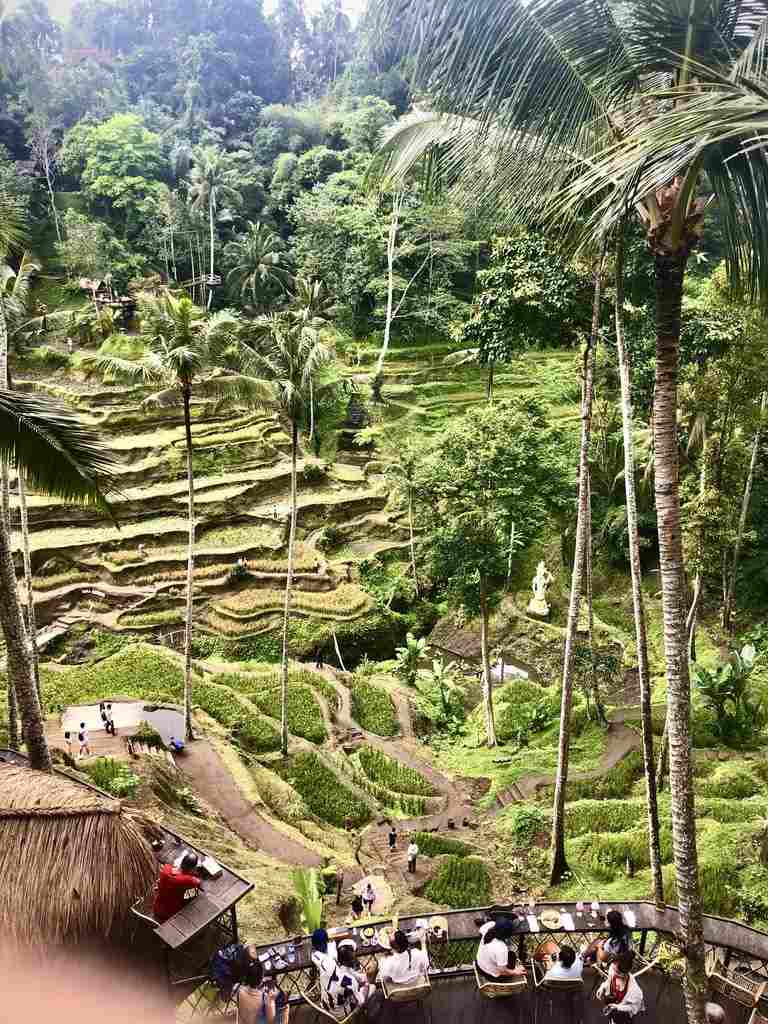 Arrozales de Tegallalang en Bali